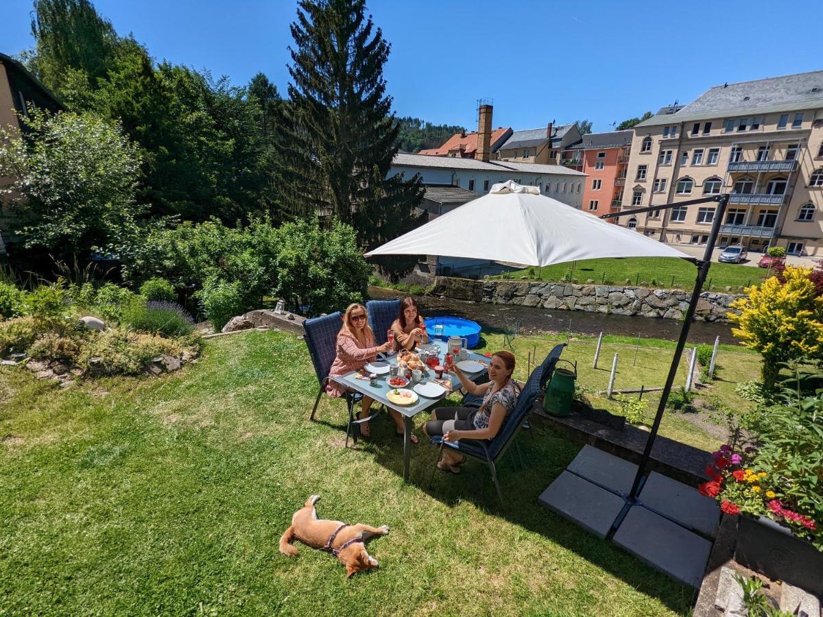 Appartamento Zi2 - Urlaubsmagie - Whirlpool, Sauna Und Garten Sebnitz Esterno foto