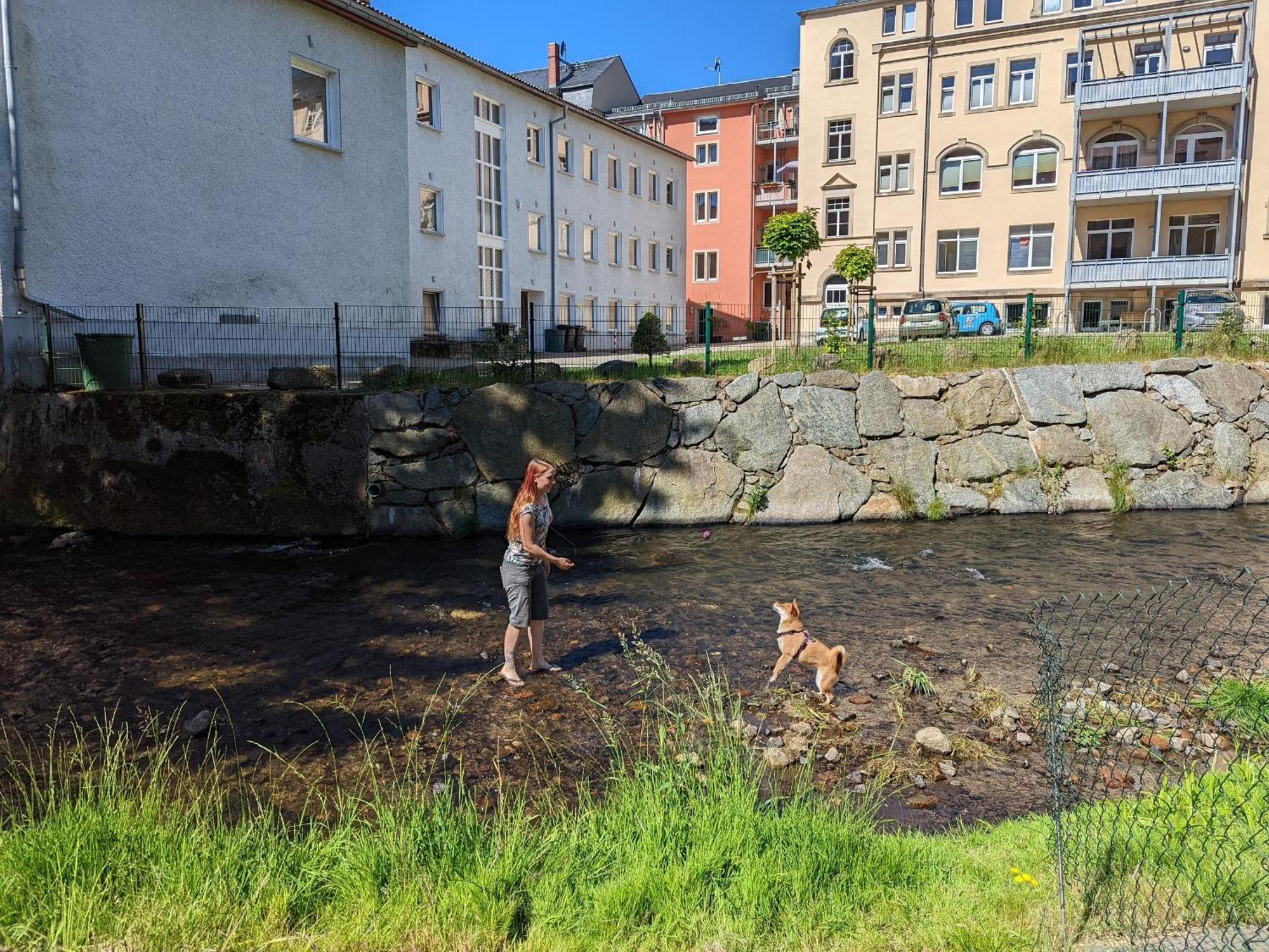 Appartamento Zi2 - Urlaubsmagie - Whirlpool, Sauna Und Garten Sebnitz Esterno foto