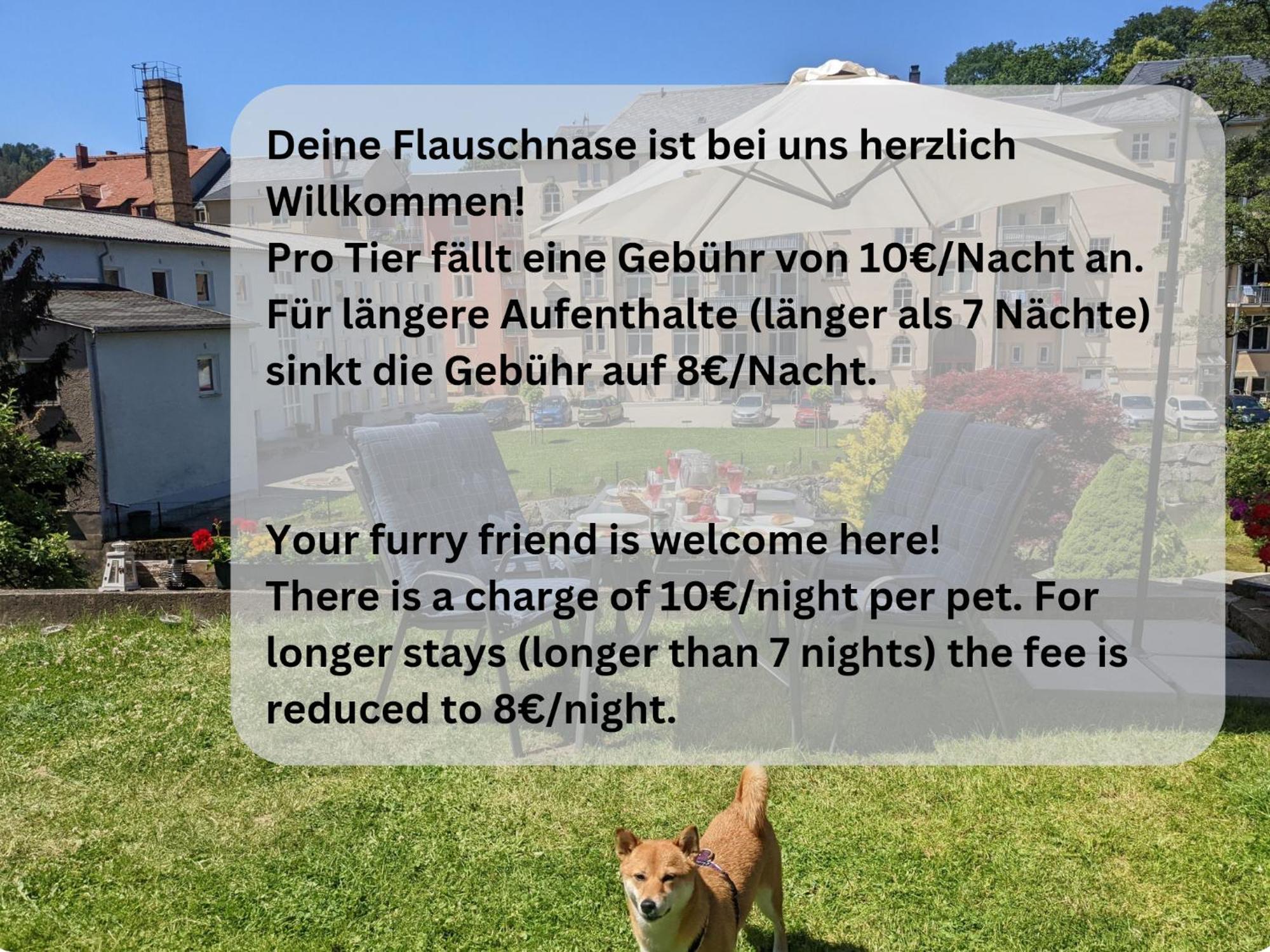 Appartamento Zi2 - Urlaubsmagie - Whirlpool, Sauna Und Garten Sebnitz Esterno foto